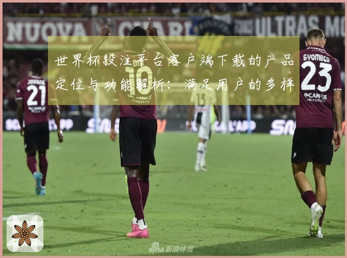 世界杯投注平台客户端下载的产品定位与功能解析：满足用户的多样化需求