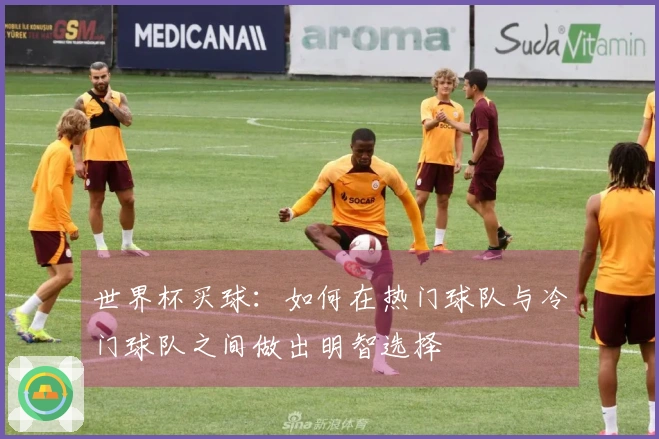 世界杯买球：如何在热门球队与冷门球队之间做出明智选择