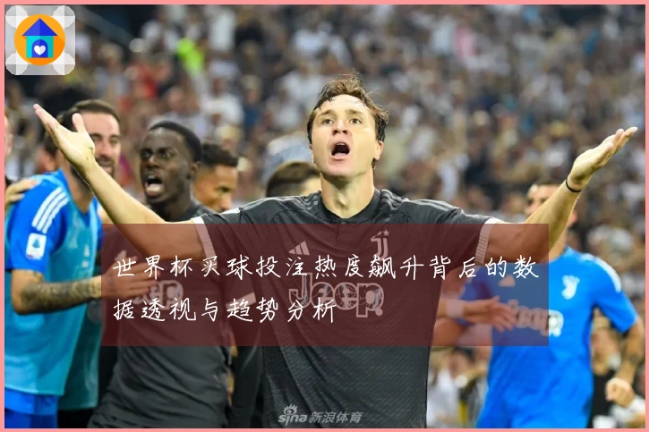 世界杯买球投注热度飙升背后的数据透视与趋势分析