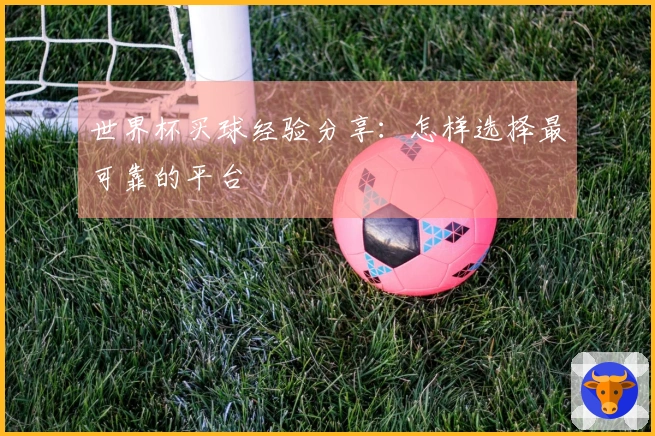 世界杯买球经验分享：怎样选择最可靠的平台