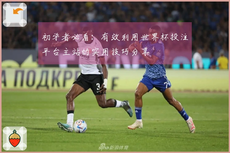 初学者必看：有效利用世界杯投注平台主站的实用技巧分享