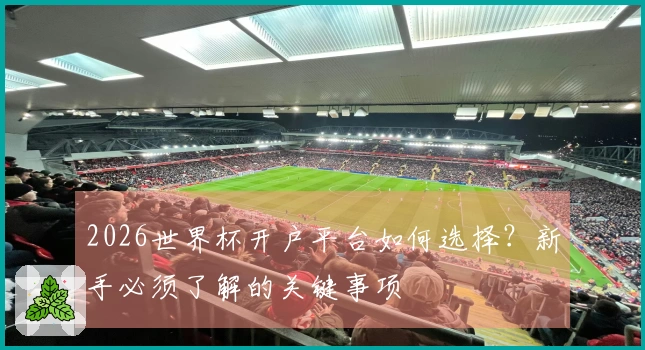 2026世界杯开户平台如何选择？新手必须了解的关键事项