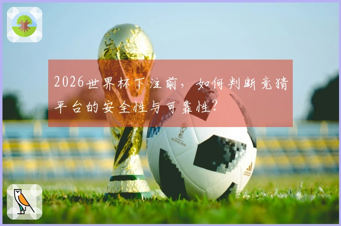 2026世界杯下注前，如何判断竞猜平台的安全性与可靠性？