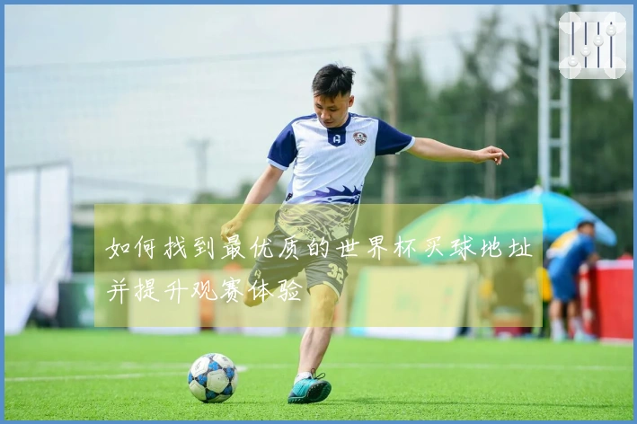 如何找到最优质的世界杯买球地址并提升观赛体验