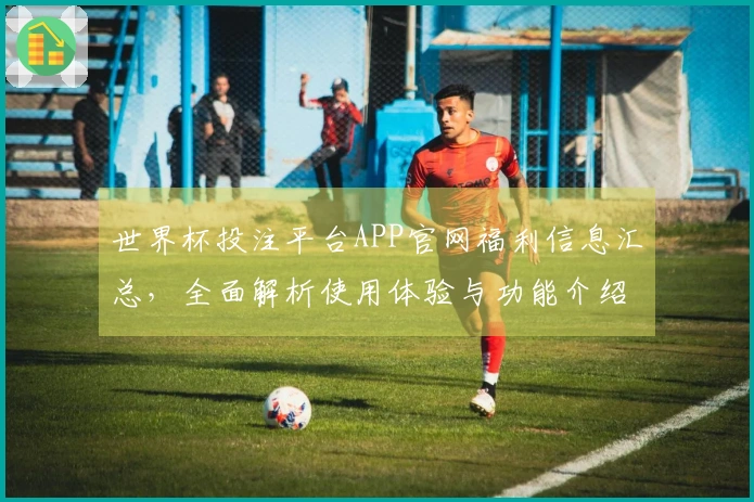 世界杯投注平台APP官网福利信息汇总，全面解析使用体验与功能介绍