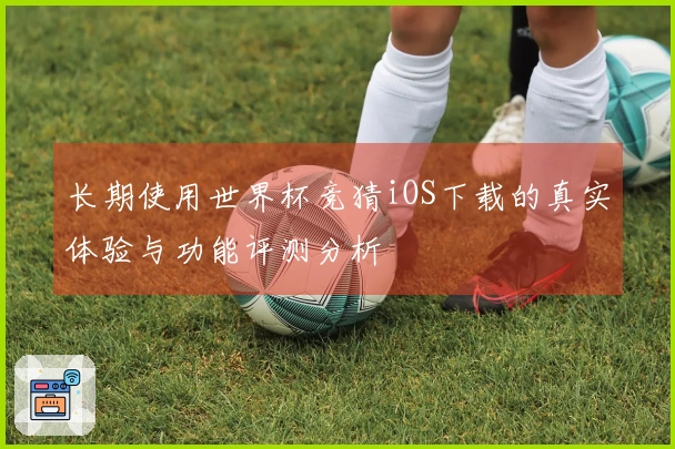 长期使用世界杯竞猜iOS下载的真实体验与功能评测分析
