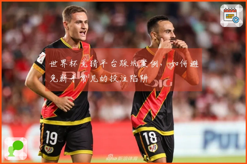 世界杯竞猜平台踩坑案例，如何避免新手常见的投注陷阱