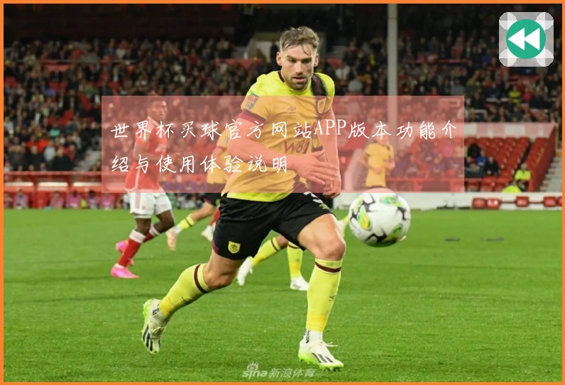 世界杯买球官方网站APP版本功能介绍与使用体验说明