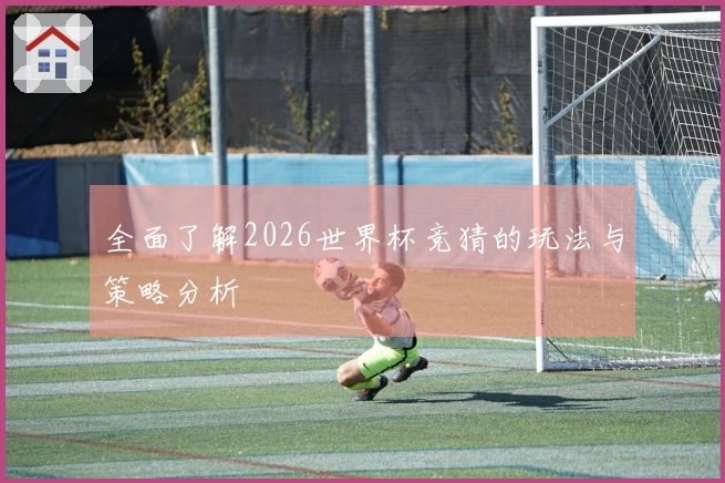 全面了解2026世界杯竞猜的玩法与策略分析