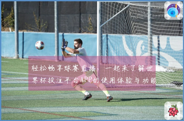 轻松畅享球赛直播，一起来了解世界杯投注平台APP的使用体验与功能介绍