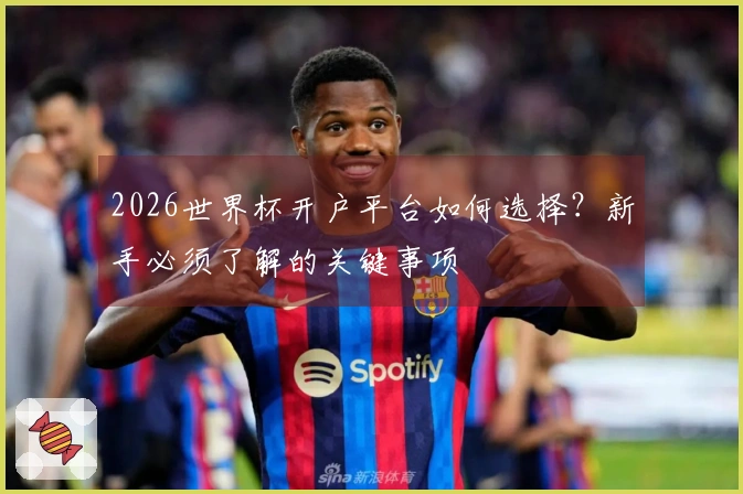 2026世界杯开户平台如何选择？新手必须了解的关键事项
